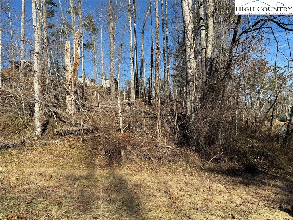 Image number 4 for the current listing