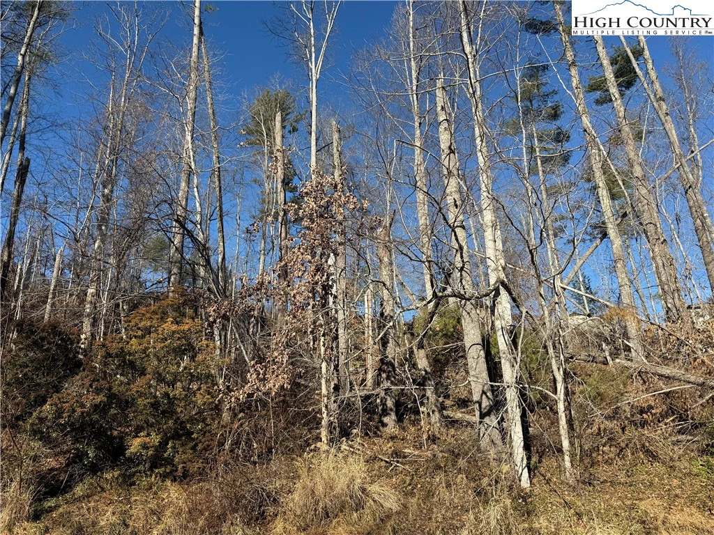Image number 5 for the current listing
