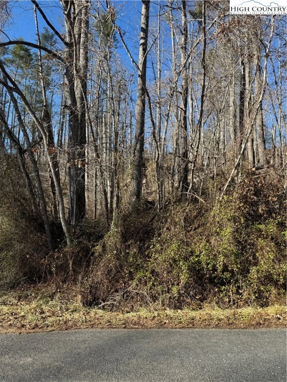 Image number 8 for the current listing