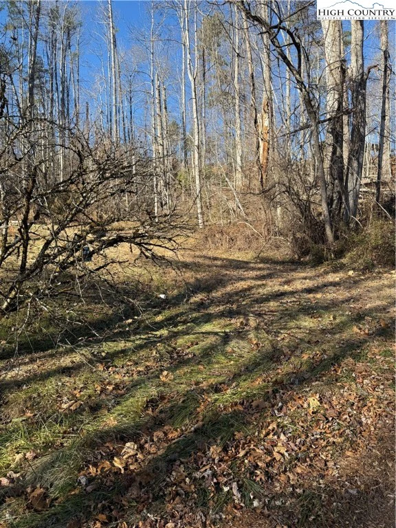 Image number 9 for the current listing