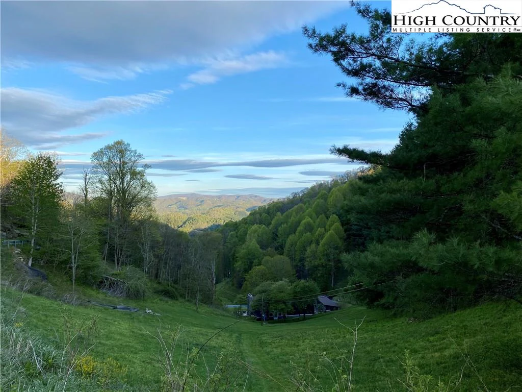 Image number 1 for the current listing
