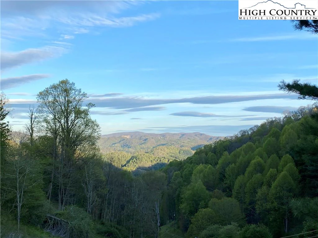 Image number 3 for the current listing