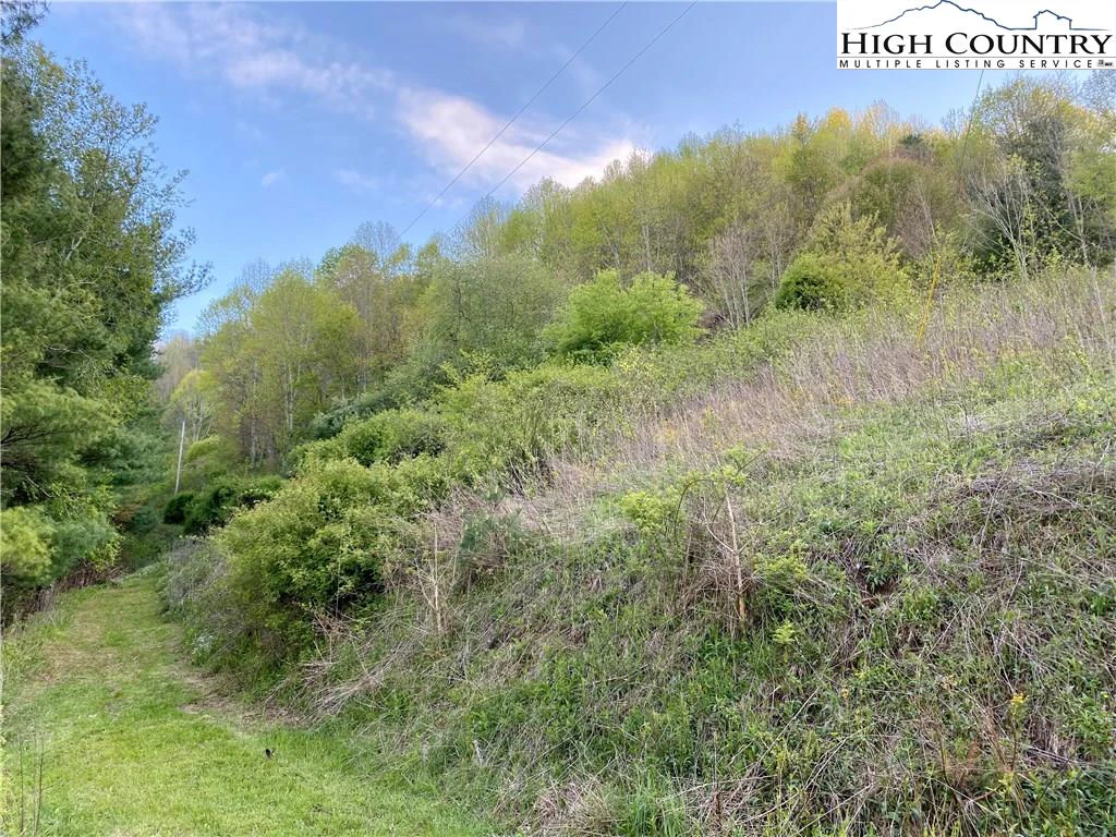 Image number 6 for the current listing