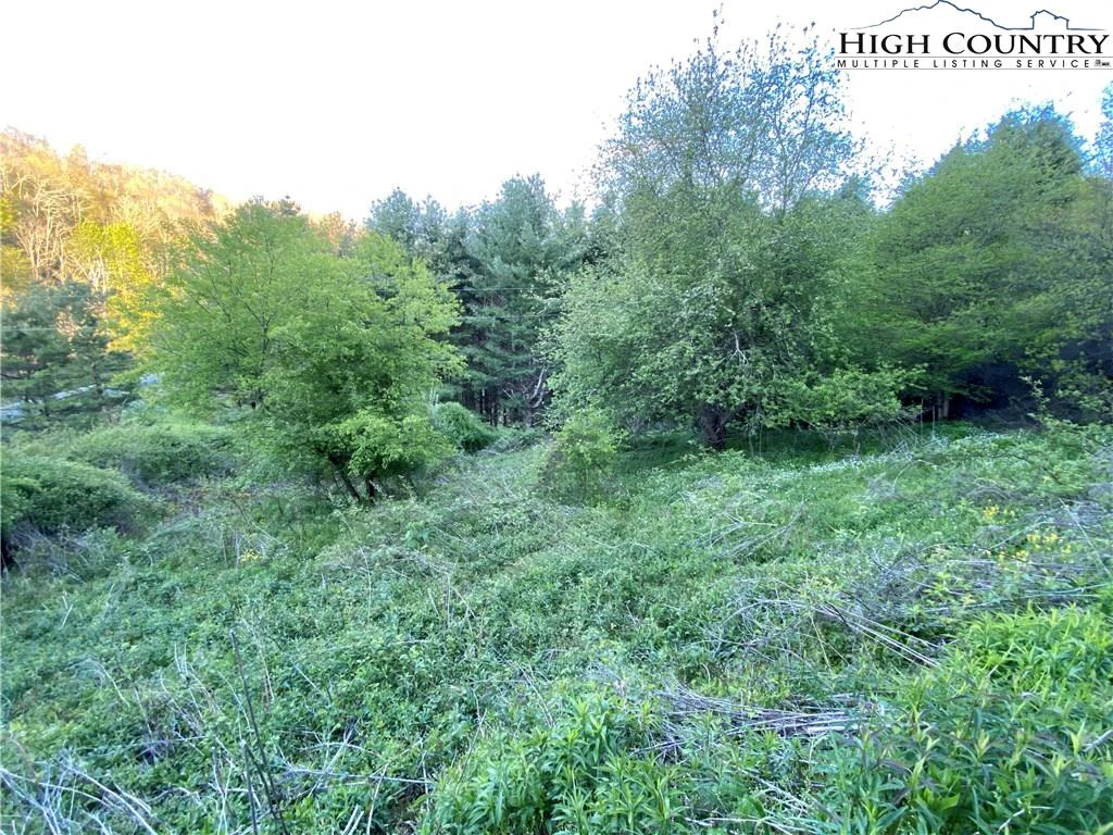 Image number 7 for the current listing
