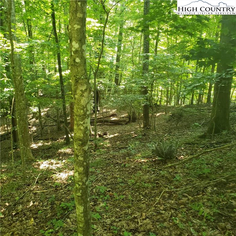 Image number 13 for the current listing