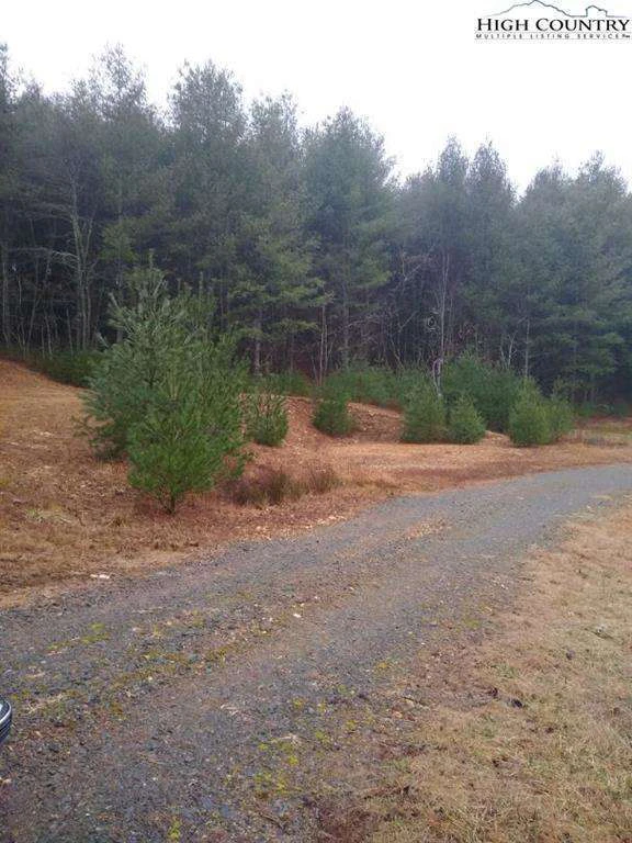 Image number 7 for the current listing