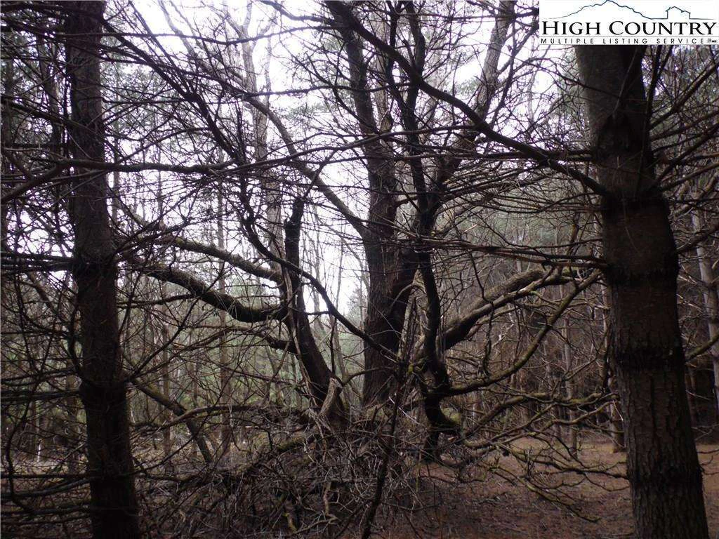 Image number 9 for the current listing