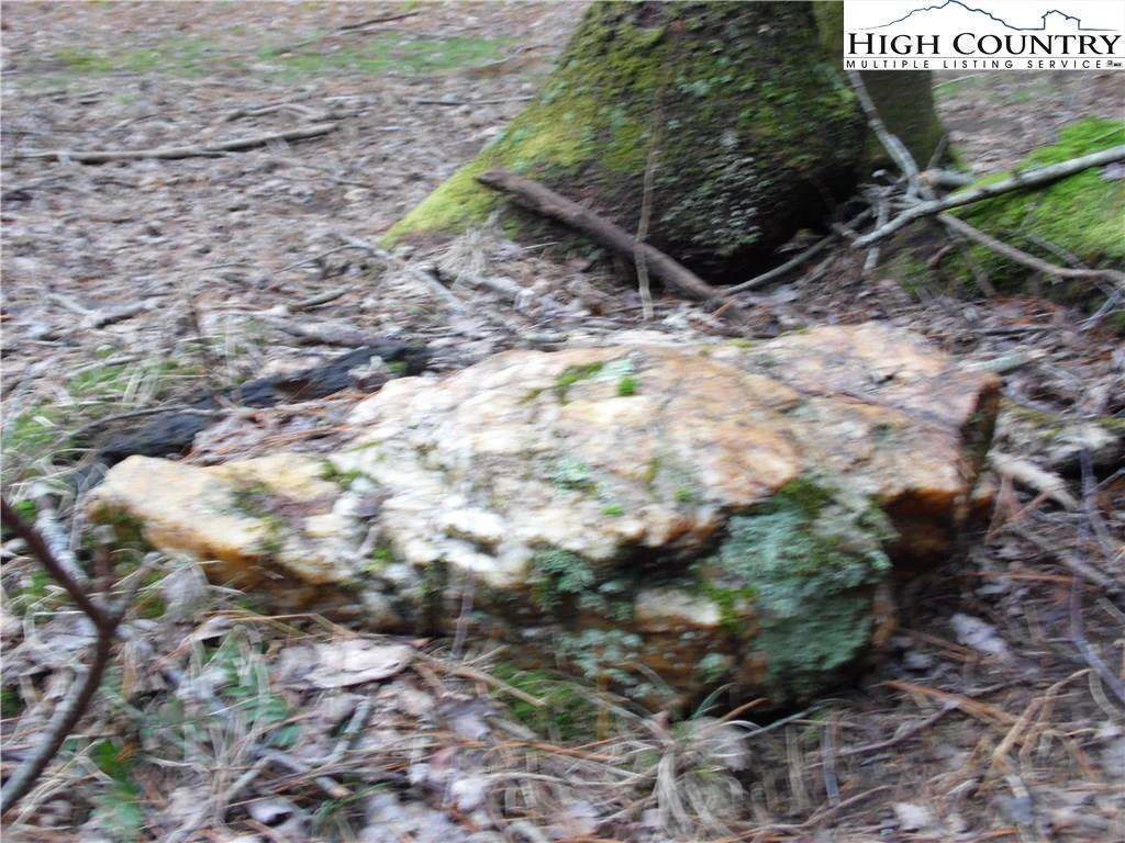 Image number 10 for the current listing