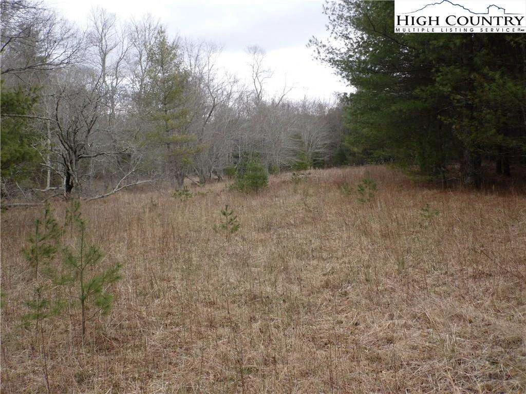 Image number 11 for the current listing