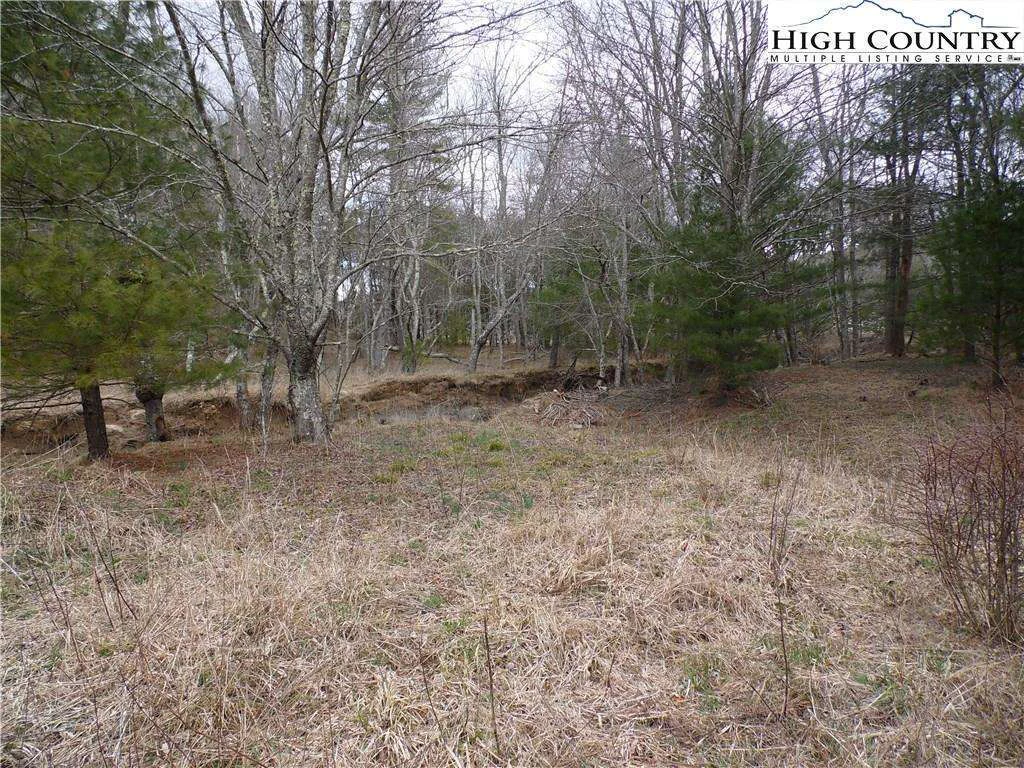 Image number 2 for the current listing