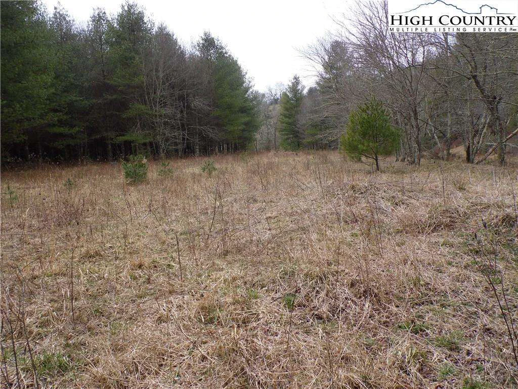 Image number 15 for the current listing