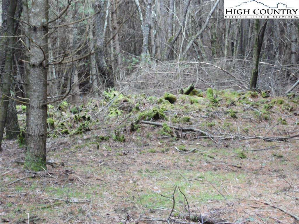 Image number 16 for the current listing