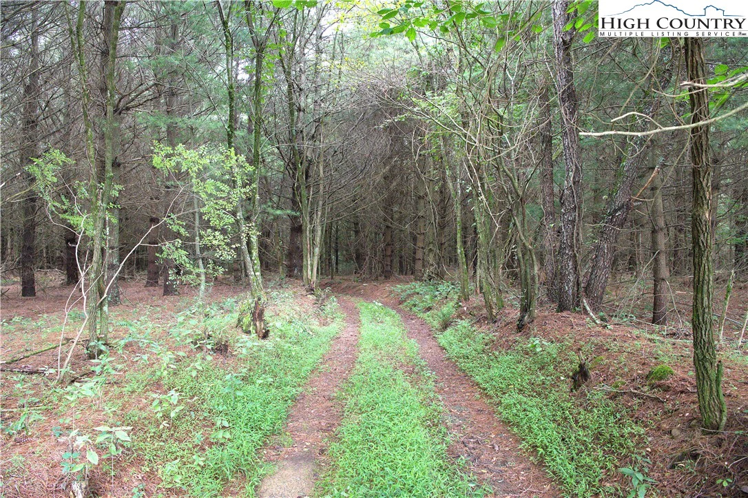 Image number 8 for the current listing