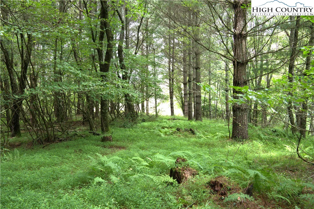 Image number 6 for the current listing