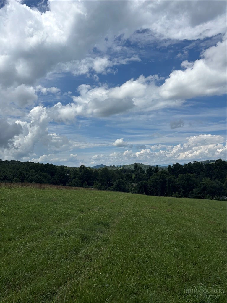 Image number 3 for the current listing