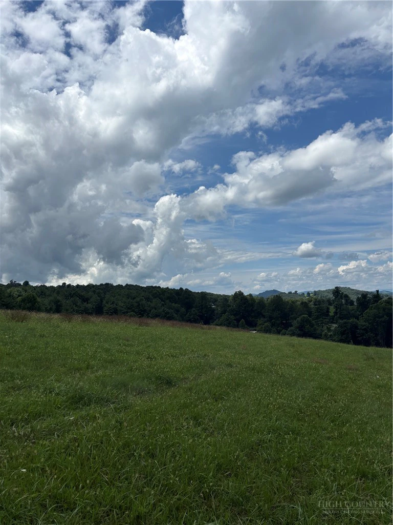 Image number 4 for the current listing