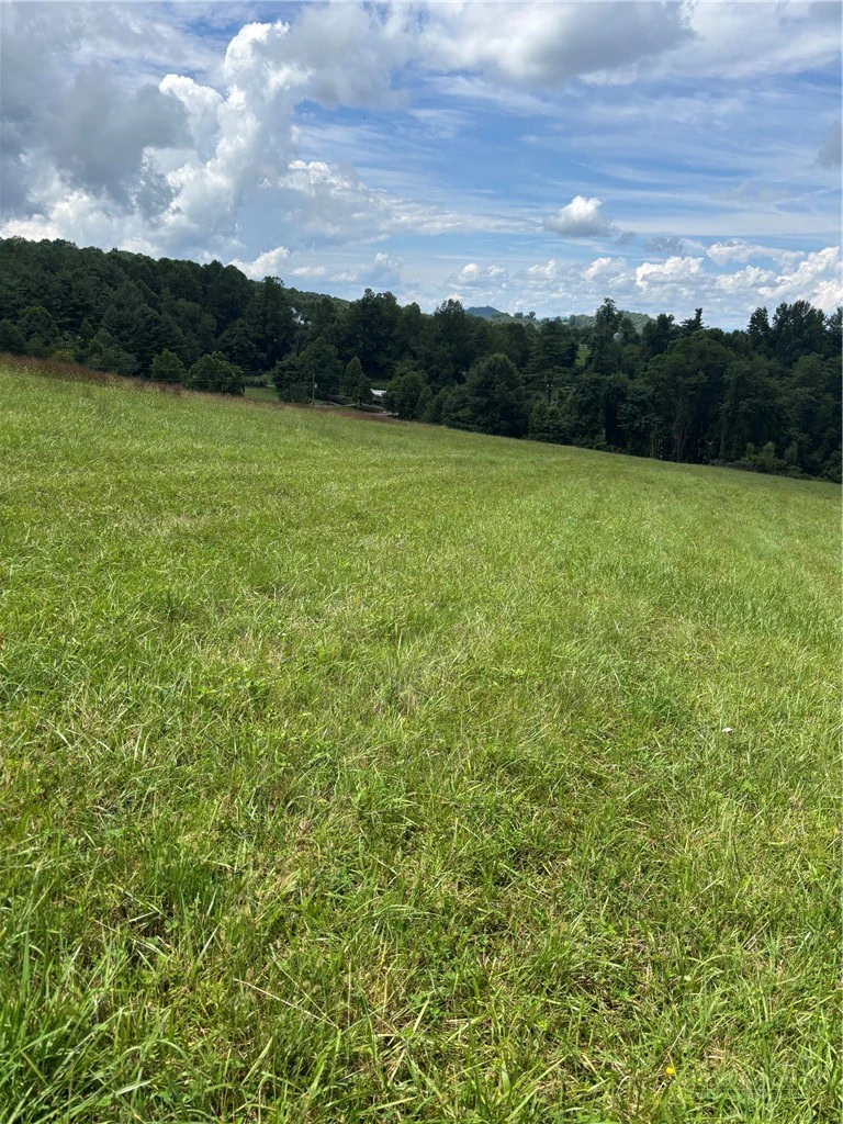Image number 5 for the current listing