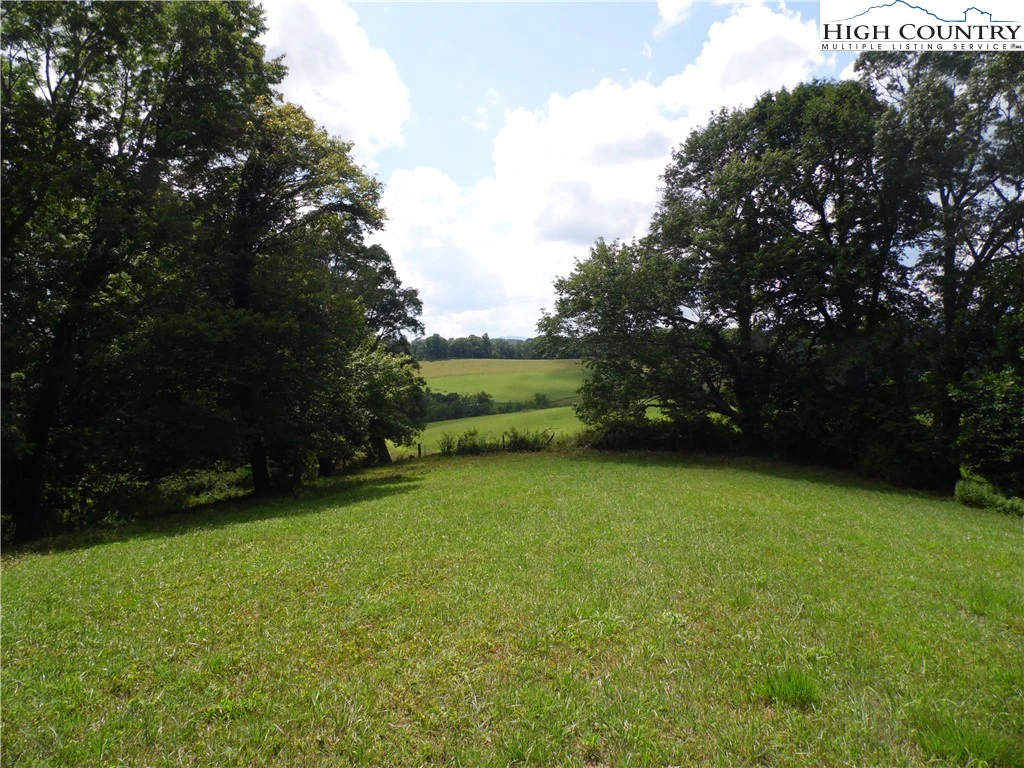 Image number 2 for the current listing