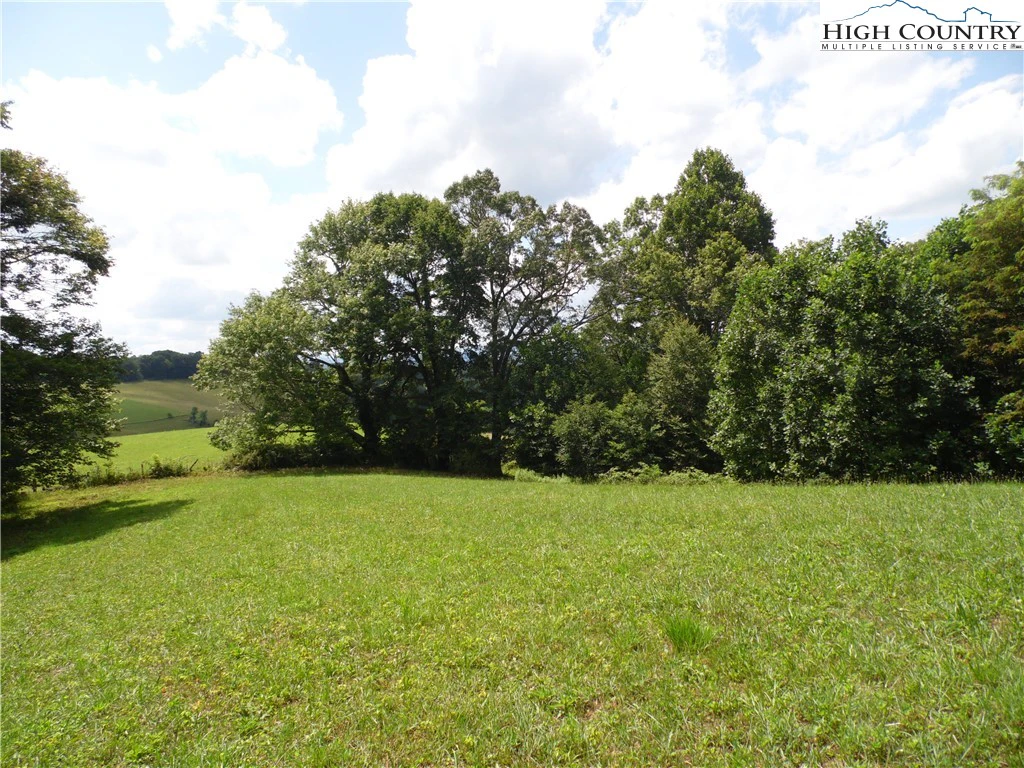Image number 3 for the current listing