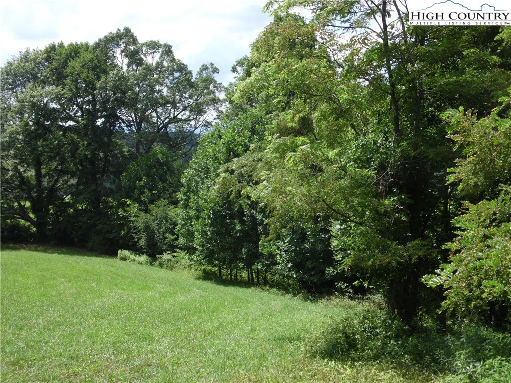 Image number 4 for the current listing