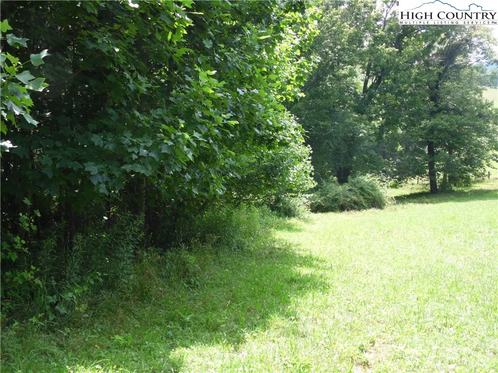 Image number 7 for the current listing