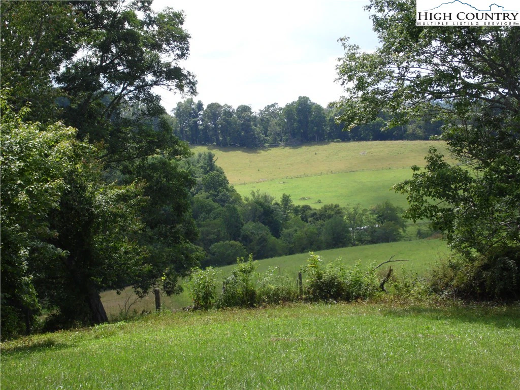 Image number 11 for the current listing