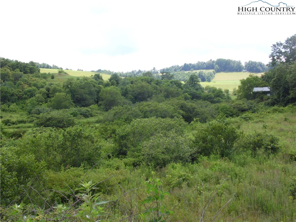 Image number 17 for the current listing