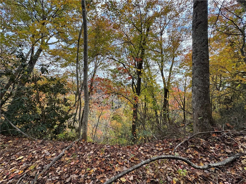 Image number 2 for the current listing
