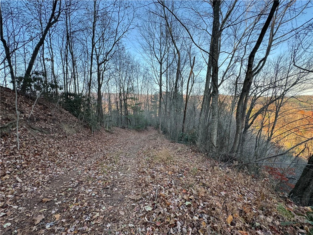 Image number 21 for the current listing