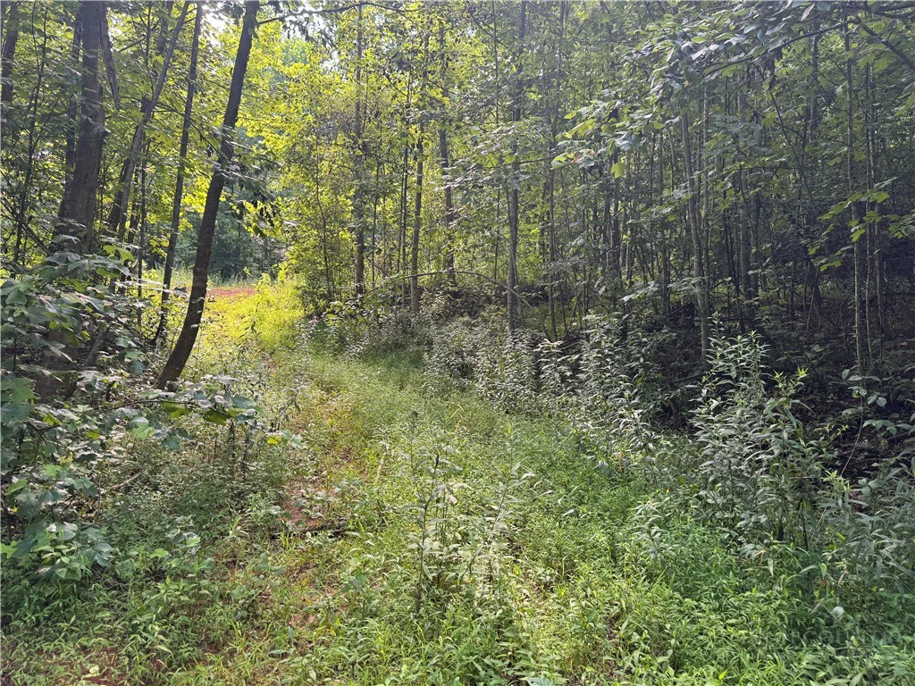 Image number 3 for the current listing