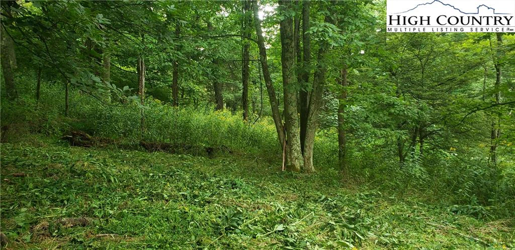 Image number 1 for the current listing