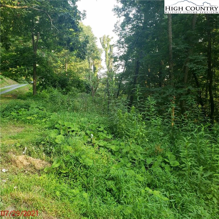 Image number 9 for the current listing