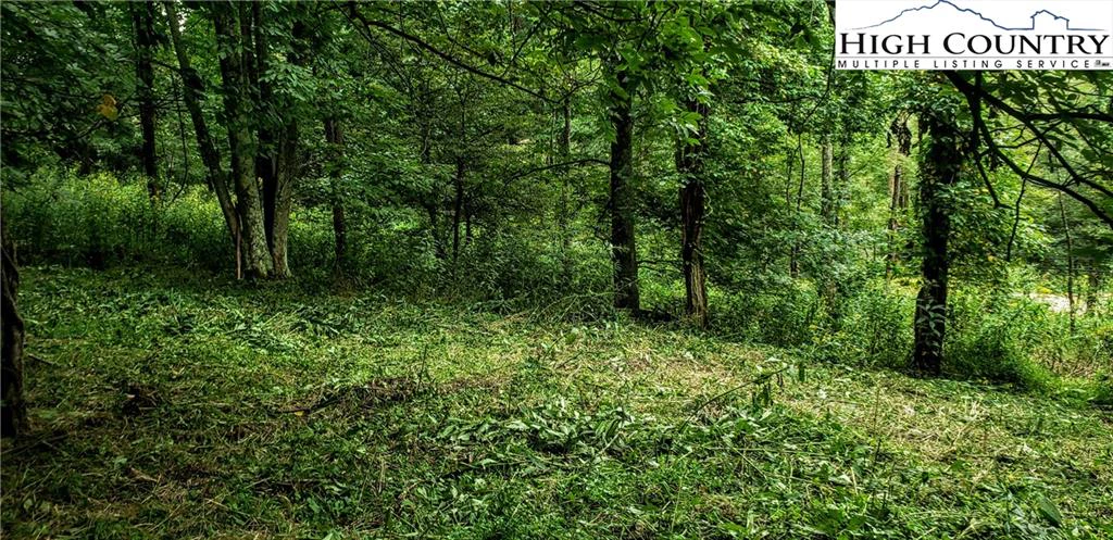Image number 5 for the current listing