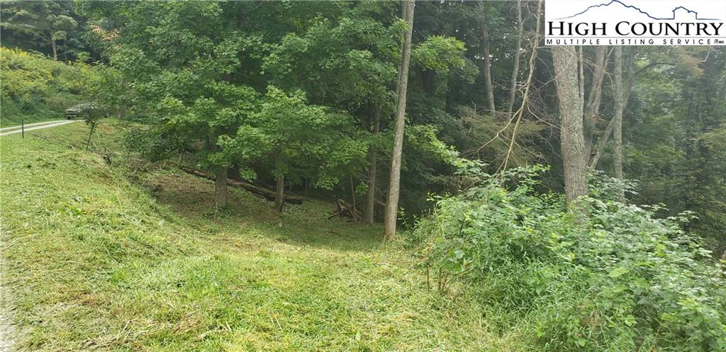 Image number 3 for the current listing