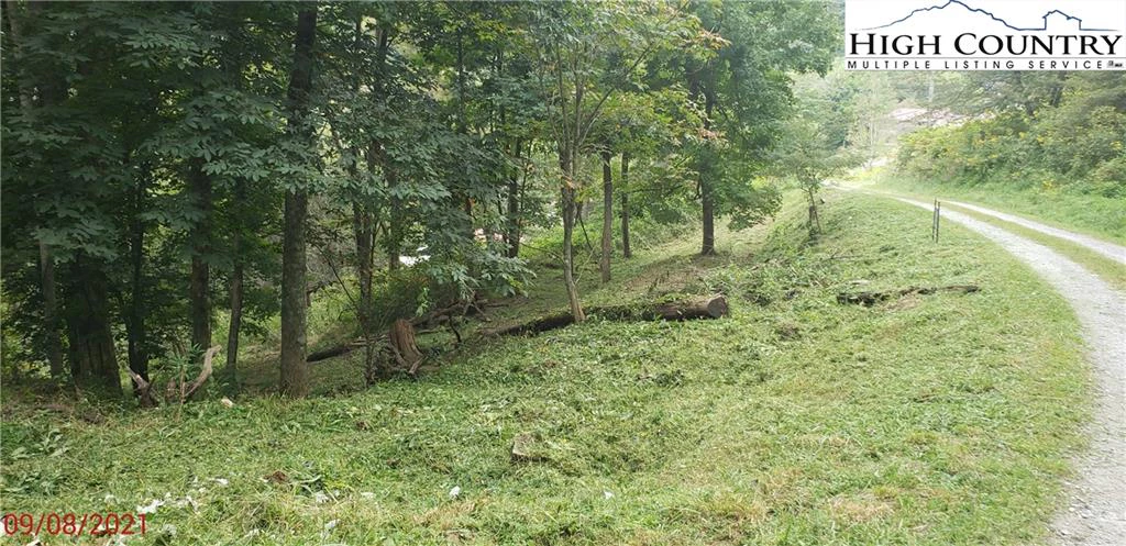Image number 16 for the current listing