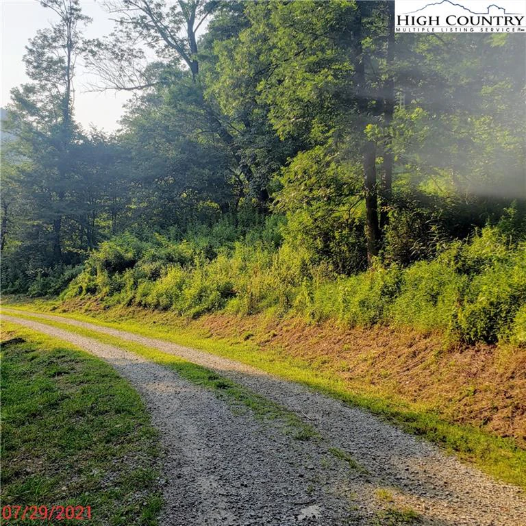 Image number 13 for the current listing