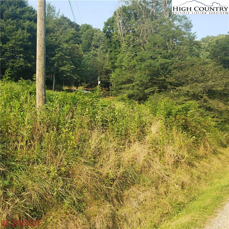 Image number 11 for the current listing