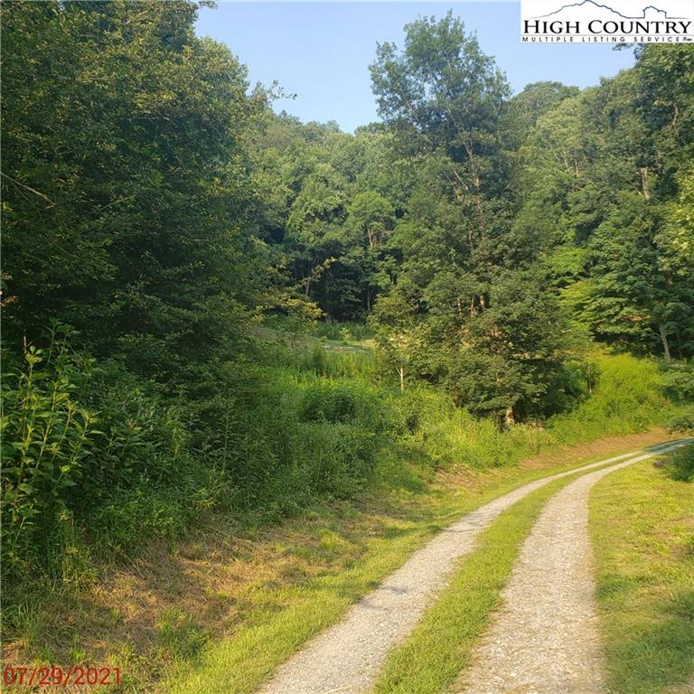 Image number 2 for the current listing