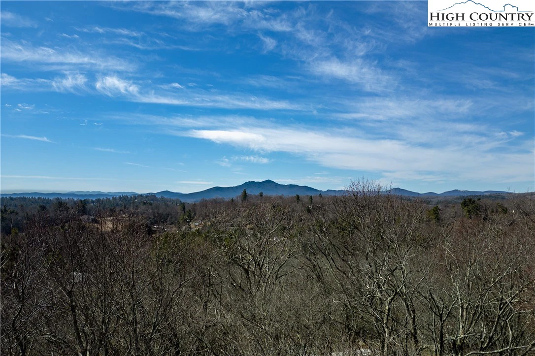 Image number 5 for the current listing