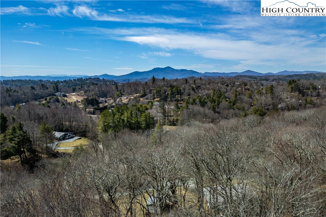 Image number 4 for the current listing