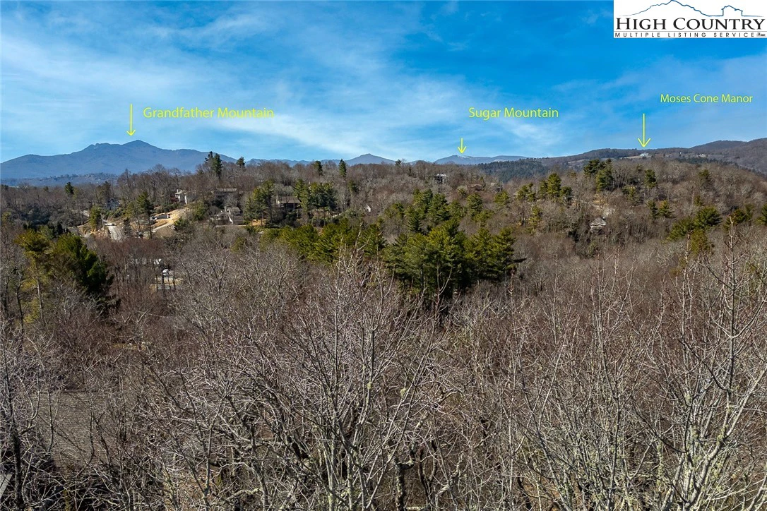 Image number 9 for the current listing