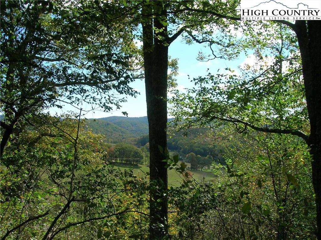 Image number 1 for the current listing