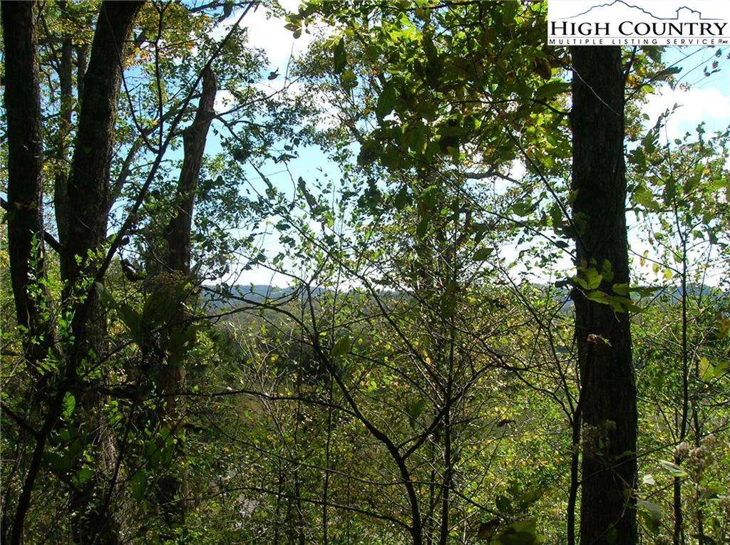 Image number 4 for the current listing