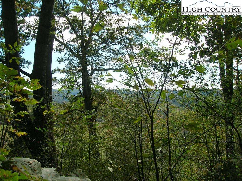 Image number 5 for the current listing
