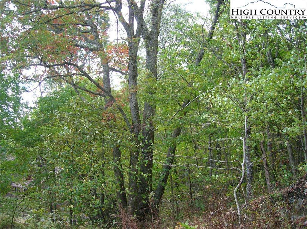 Image number 6 for the current listing