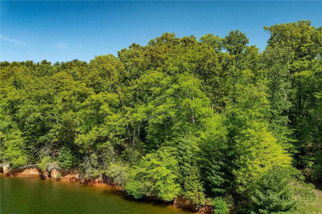 Image number 15 for the current listing