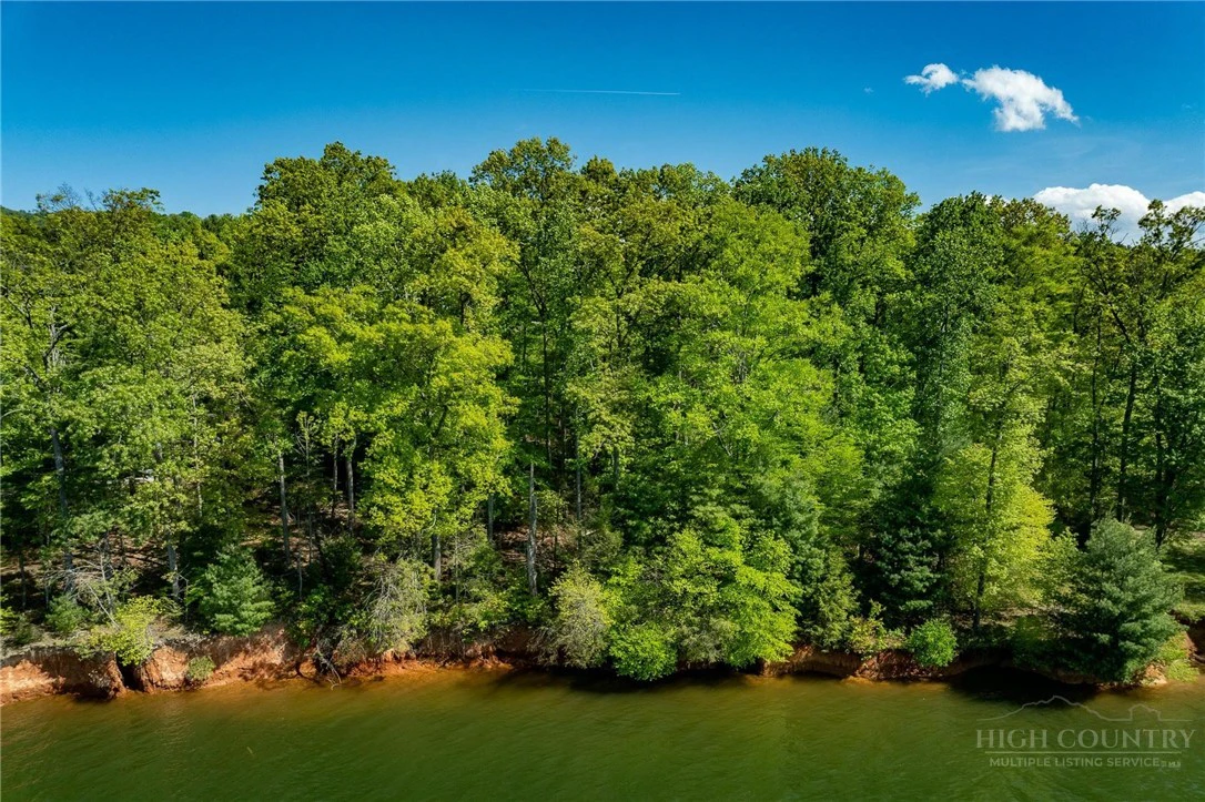Image number 14 for the current listing