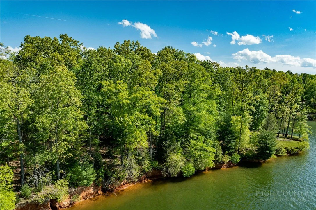 Image number 13 for the current listing