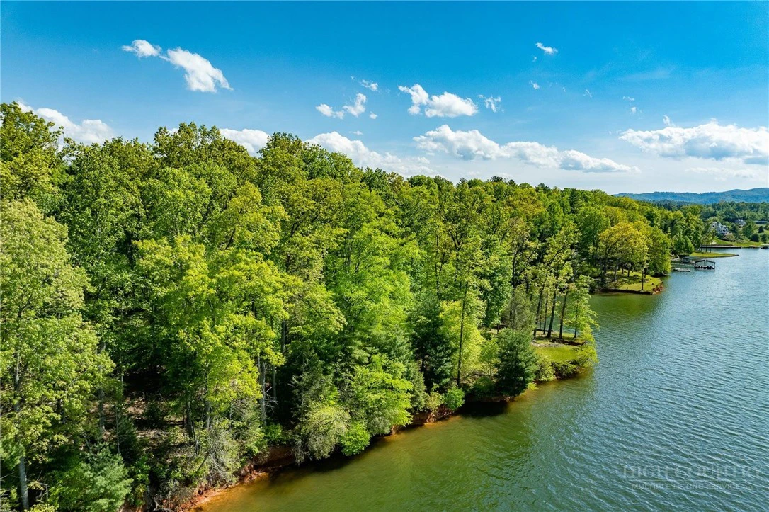 Image number 12 for the current listing