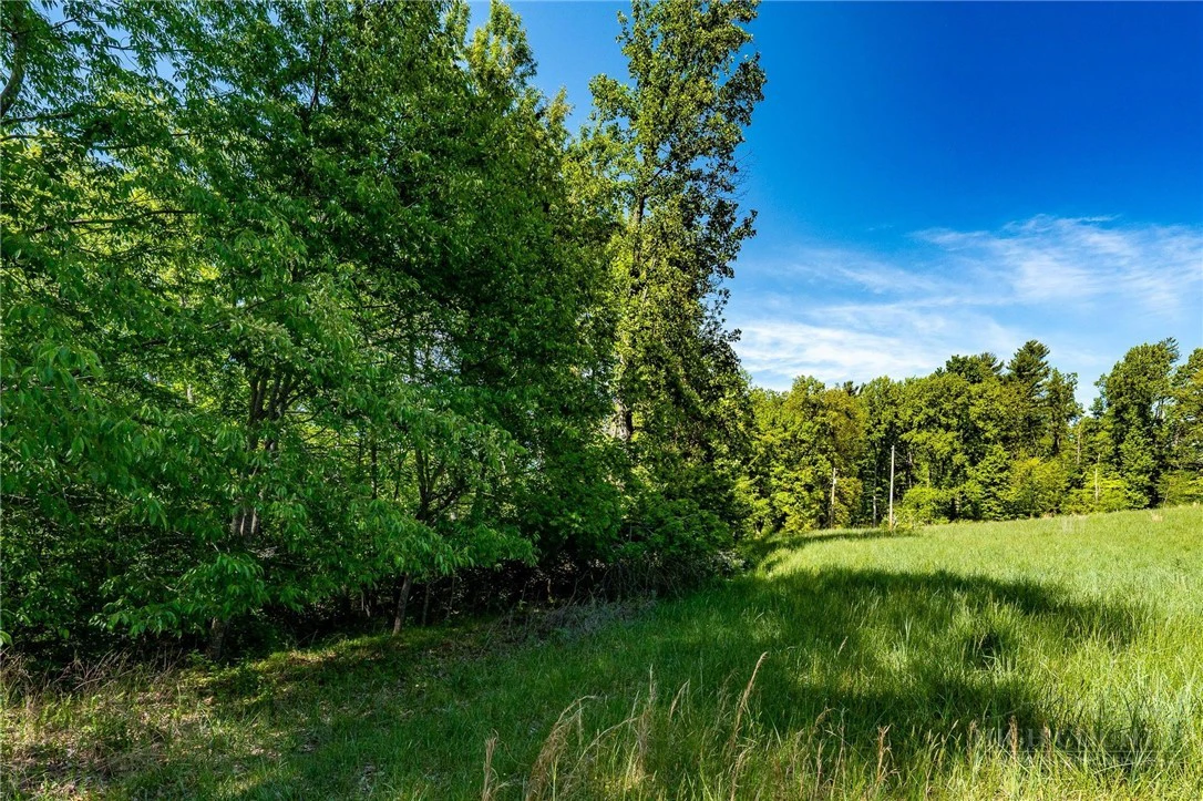 Image number 5 for the current listing